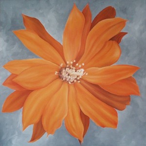 Orange Cactus