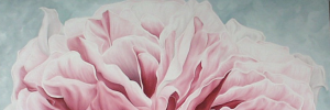 cropped-Pink-cropped.png